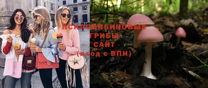 Псилоцибиновые грибы Magic Shrooms  blacksprut ссылка  Сортавала 